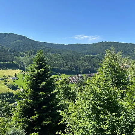 Apartment Haus Panoramablick Bad Peterstal-Griesbach